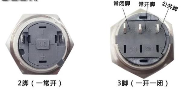 按鈕開關插腳.jpg